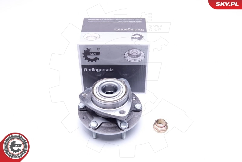 Wheel Bearing Kit